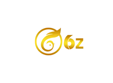 6z