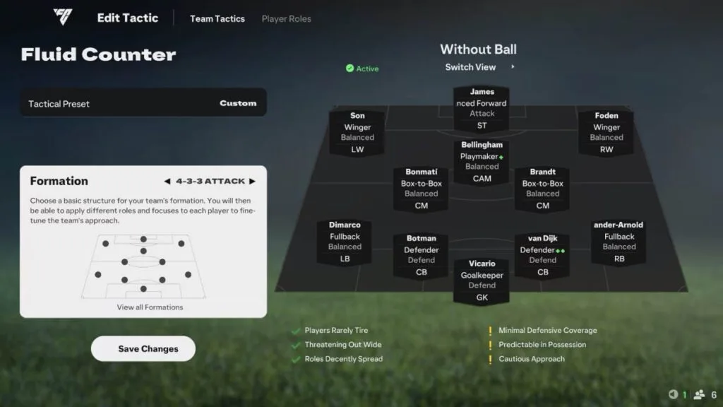 Player Roles FC25